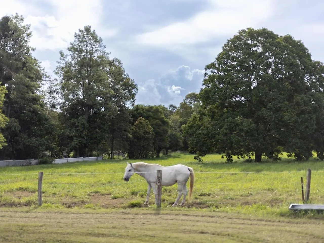 Holiday home 6 Bed Equine Countryside Paradise At Moggill Australia